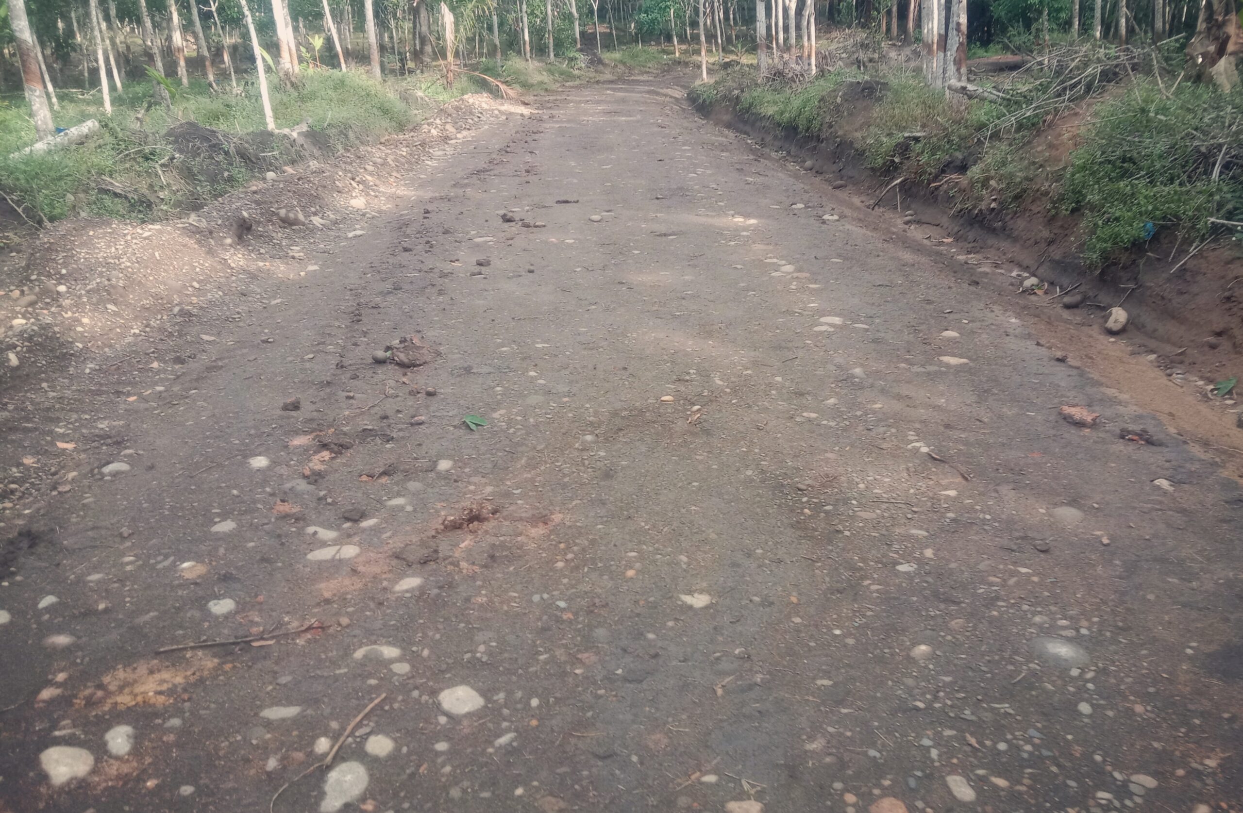 Proyek Pengerasan Jalan Lingkar di PALI Rp 1 Miliar Jadi Sorotan, Dinas PUTR Akui Ada Kesalahan Diawal