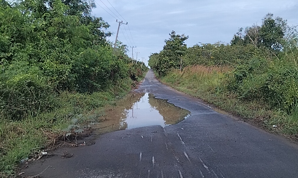 Kades Tak Digubris, PT GIE Diduga Remehkan Pemerintah Dan Kepentingan Masyarakat 
